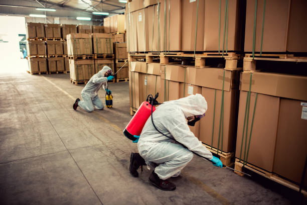 Best Pest Inspection Near Me  in Leadwood, MO