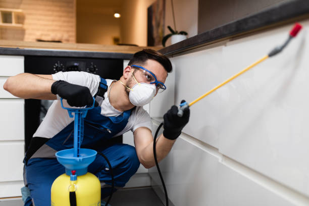 Best Cockroach Control Services  in Leadwood, MO