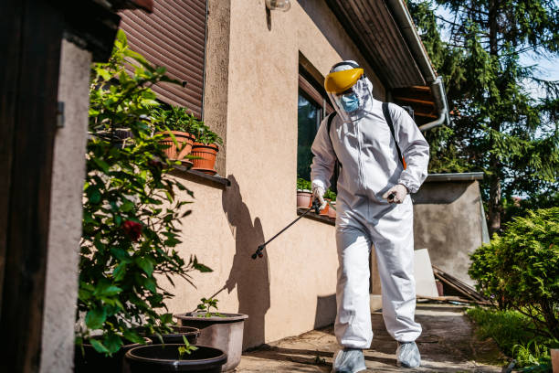 Best Pest Inspection Near Me  in Leadwood, MO
