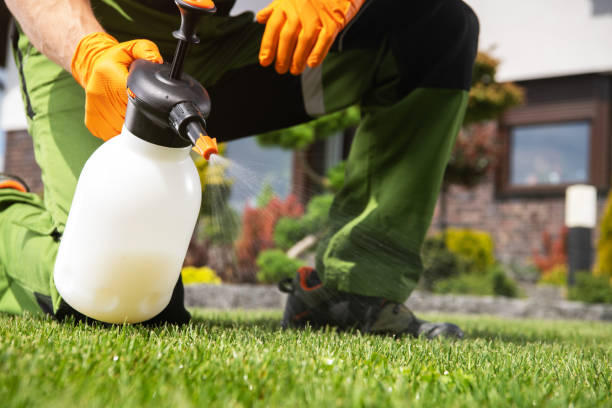 Best Mosquito Control Services  in Leadwood, MO