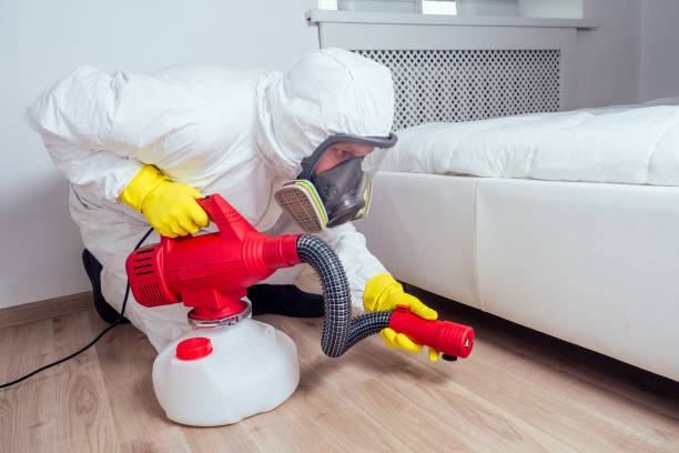 Trusted Leadwood, MO Pest Control Experts