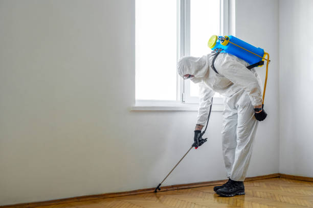 Pest Prevention Services in Leadwood, MO