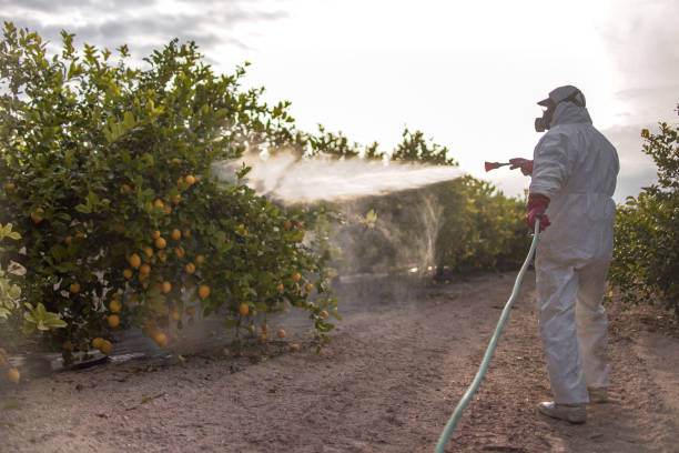 Best Pest Removal Services  in Leadwood, MO