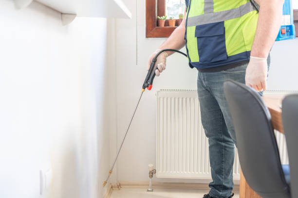 Best Bed Bug Extermination  in Leadwood, MO
