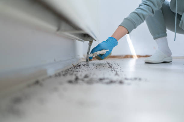 Pest Control for Restaurants in Leadwood, MO